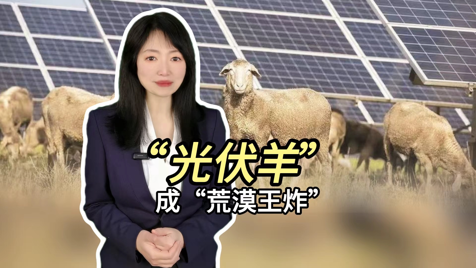 “光伏羊”成“荒漠王炸”