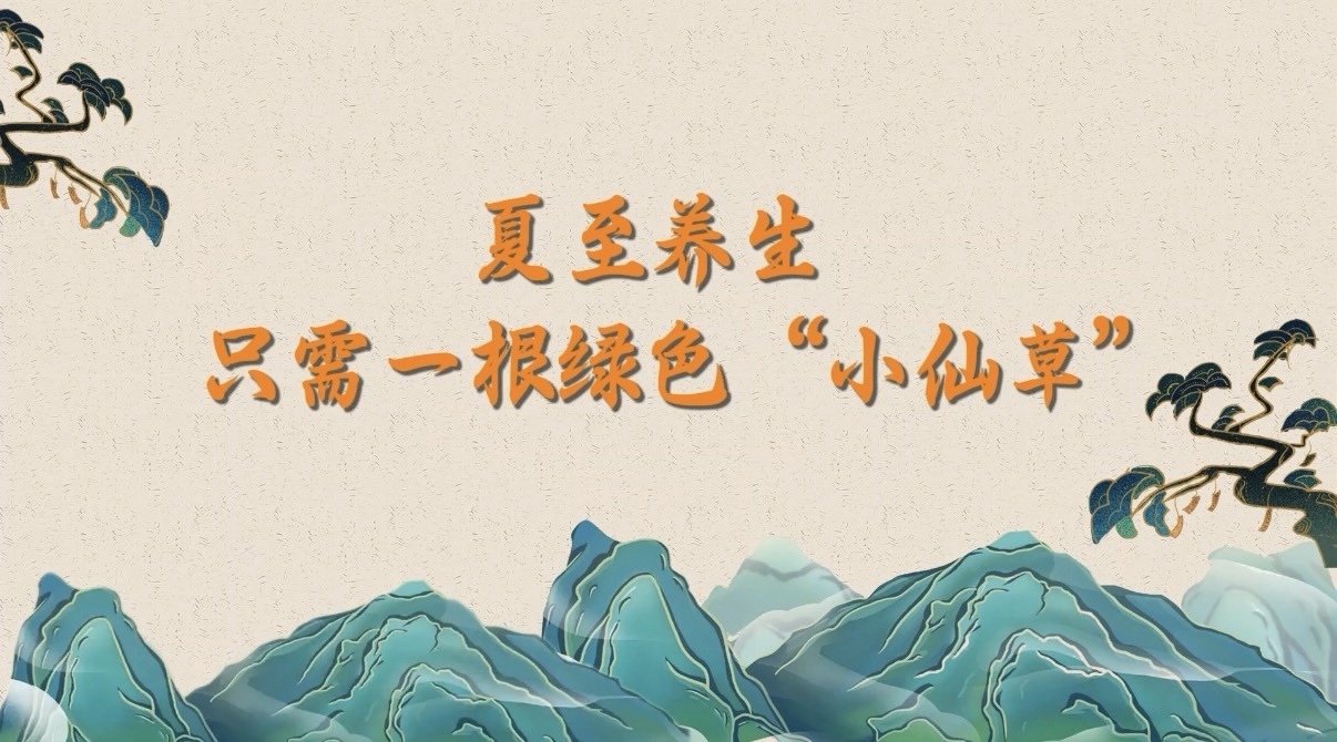 夏至养生,只需一根绿色“小仙草” 夏至养生,只需一根绿色“小仙草”