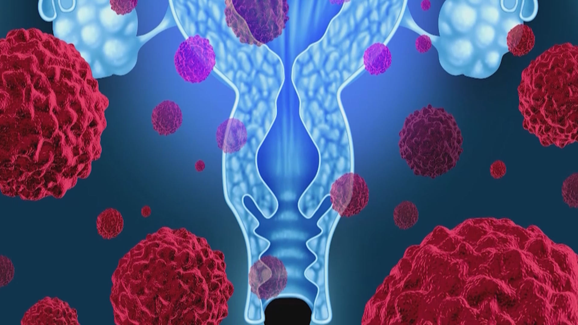北京确定100余家宫颈癌筛查诊断机构“京通”小程序在线预约 北京确定100余家宫颈癌筛查诊断机构“京通”小程序在线预约