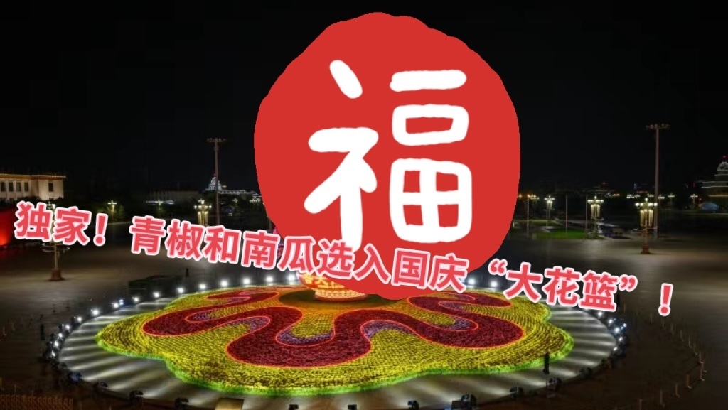 独家！今年国庆花坛“大花篮”里都有啥？