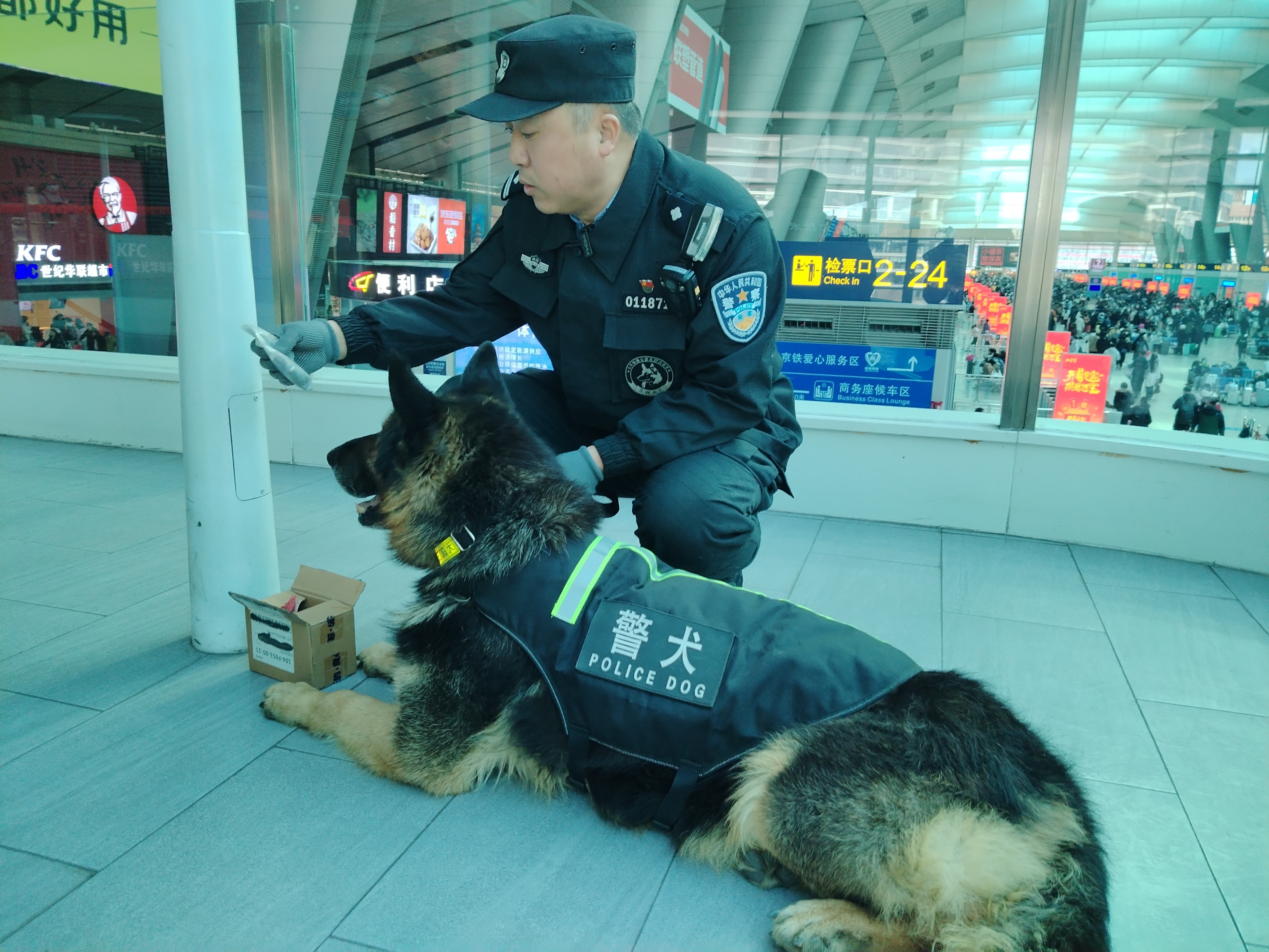 警犬“黑狼”的最后一个春运 警犬“黑狼”的最后一个春运
