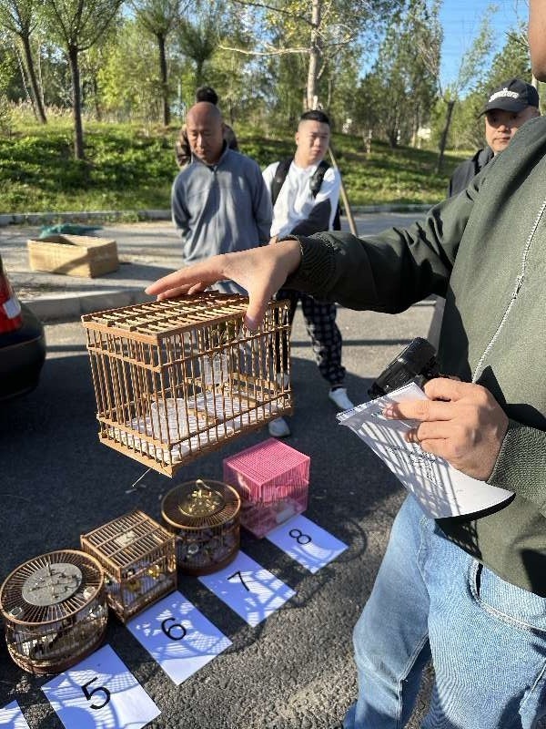 北京多部门部署打击破坏鸟类等野生动物资源违法犯罪联合行动