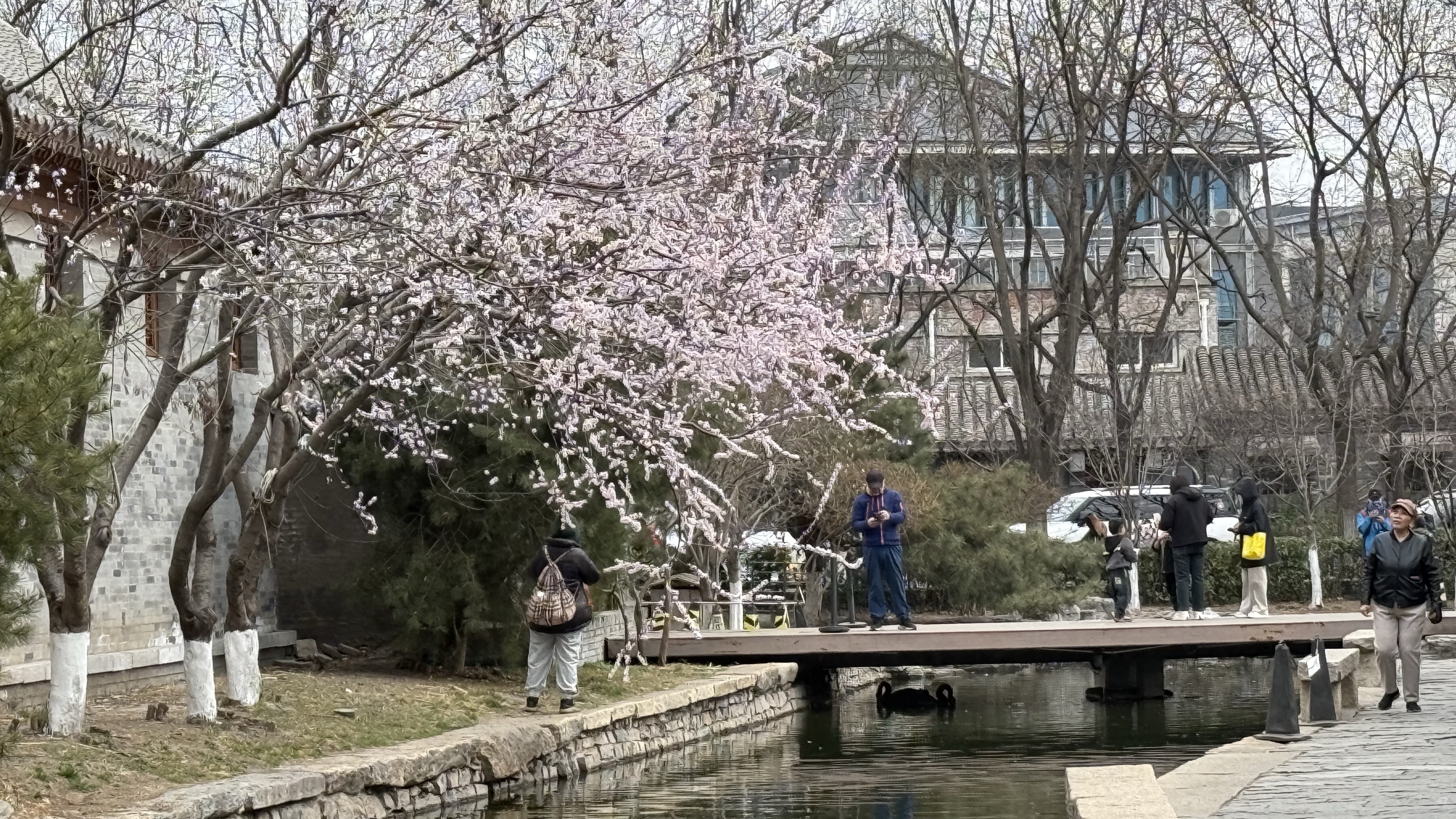 码住！北京城隐藏在胡同里的江南水乡