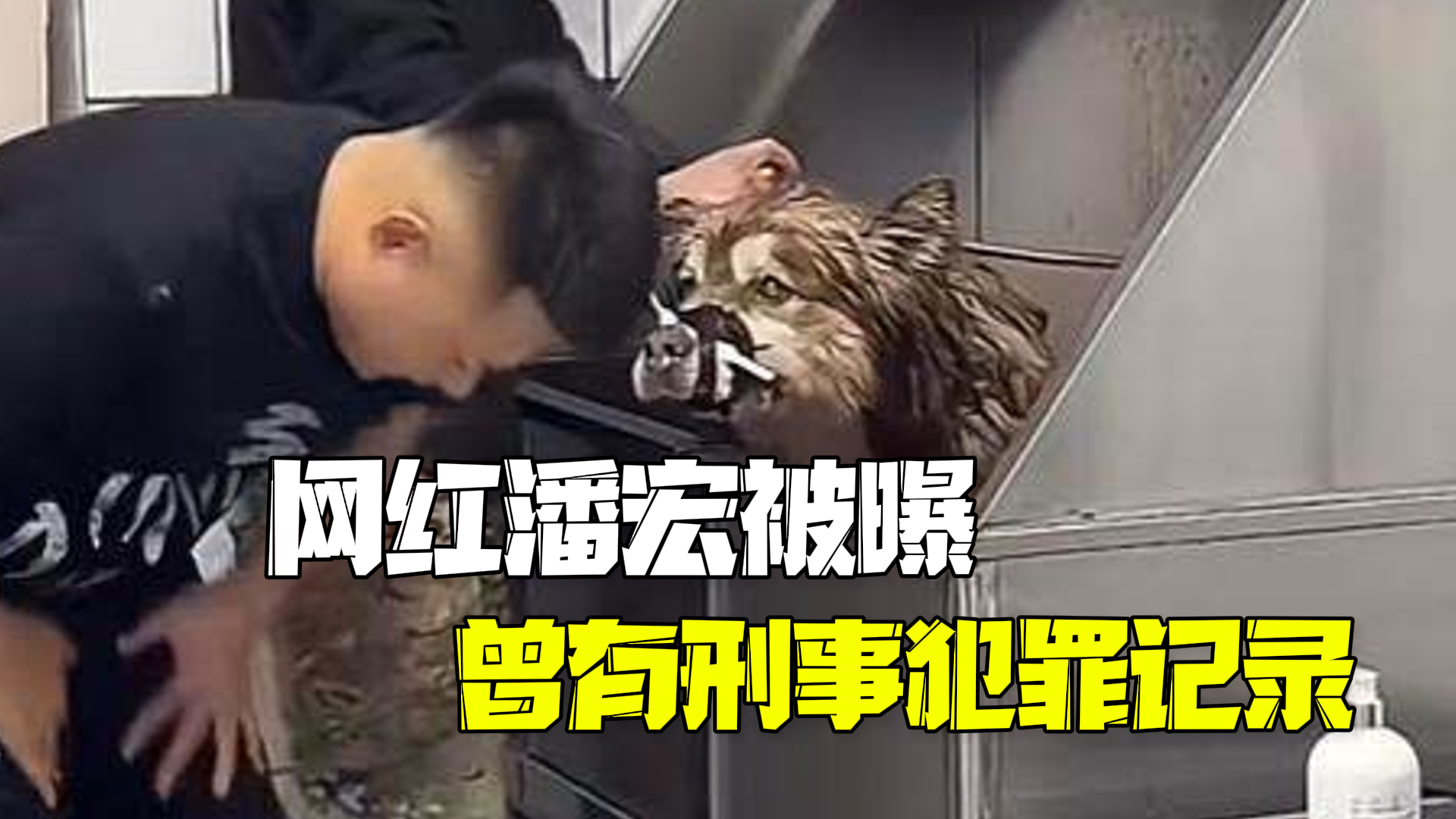 训狗师潘宏曾因打人被判缓刑?媒体曝光判决书冲上热搜第一 训狗师潘宏曾因打人被判缓刑?媒体曝光判决书冲上热搜第一