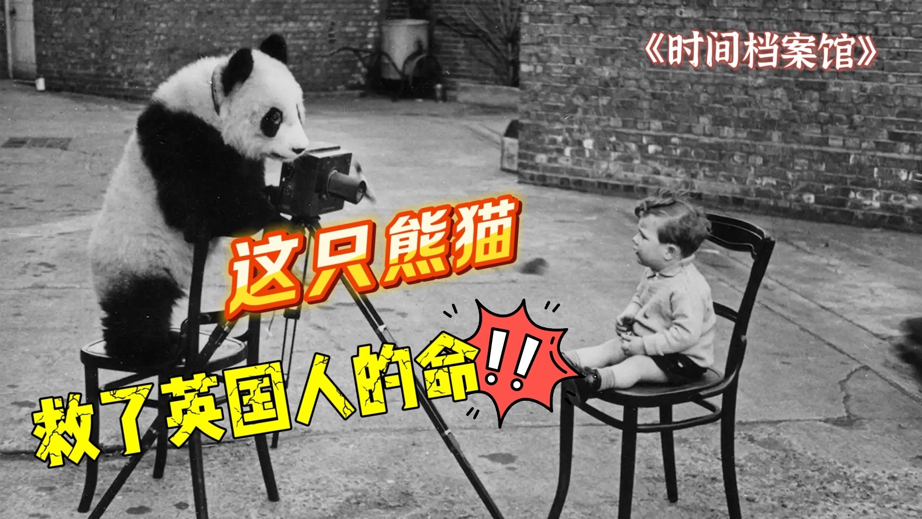 这只熊猫救了英国人的命! 这只熊猫救了英国人的命!