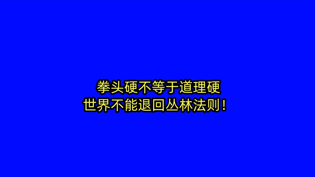 外交部长:拳头硬不等于道理硬,世界不能退回丛林法则! 外交部长:拳头硬不等于道理硬,世界不能退回丛林法则!