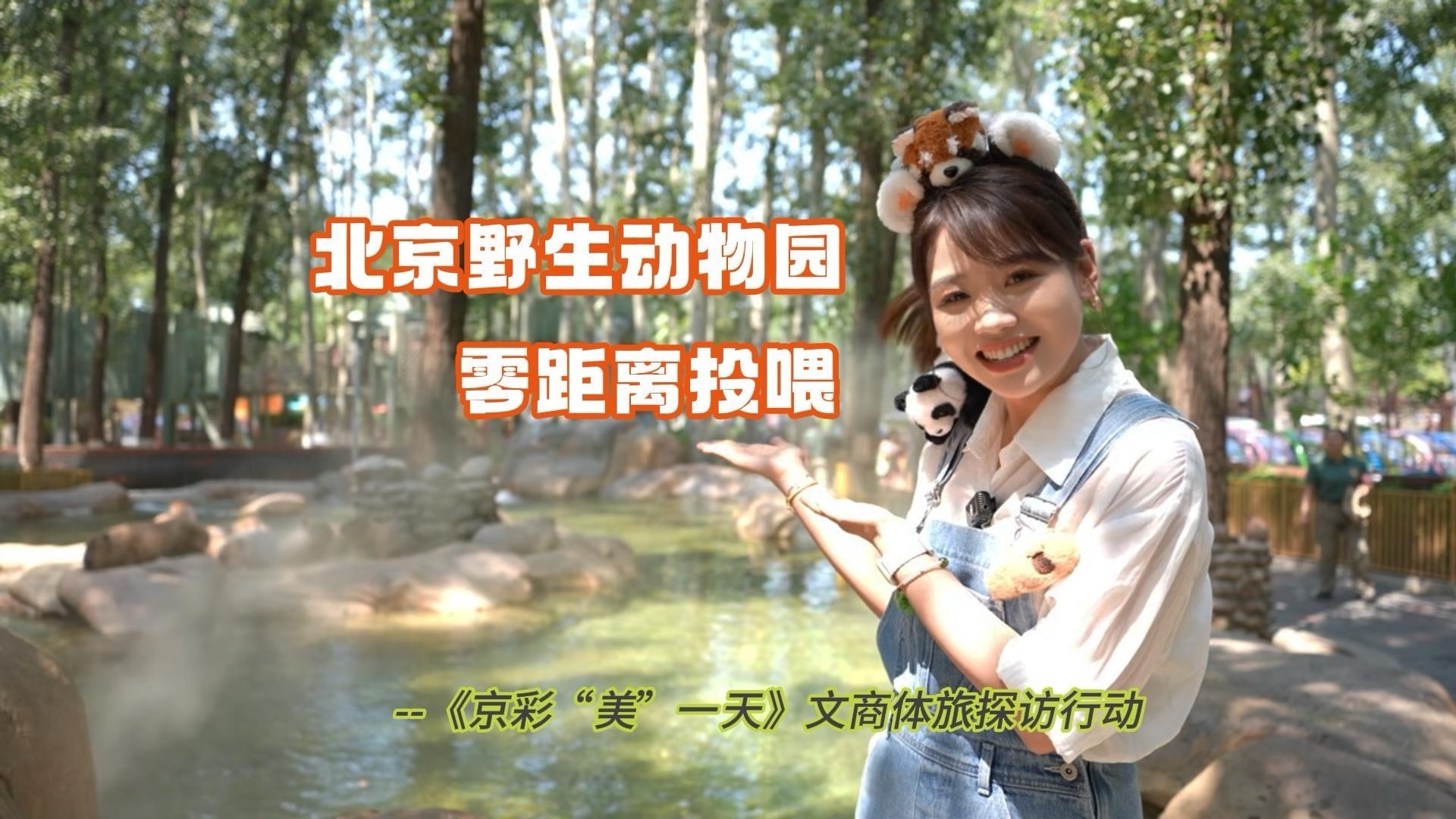 北京野生动物园的正确打开方式