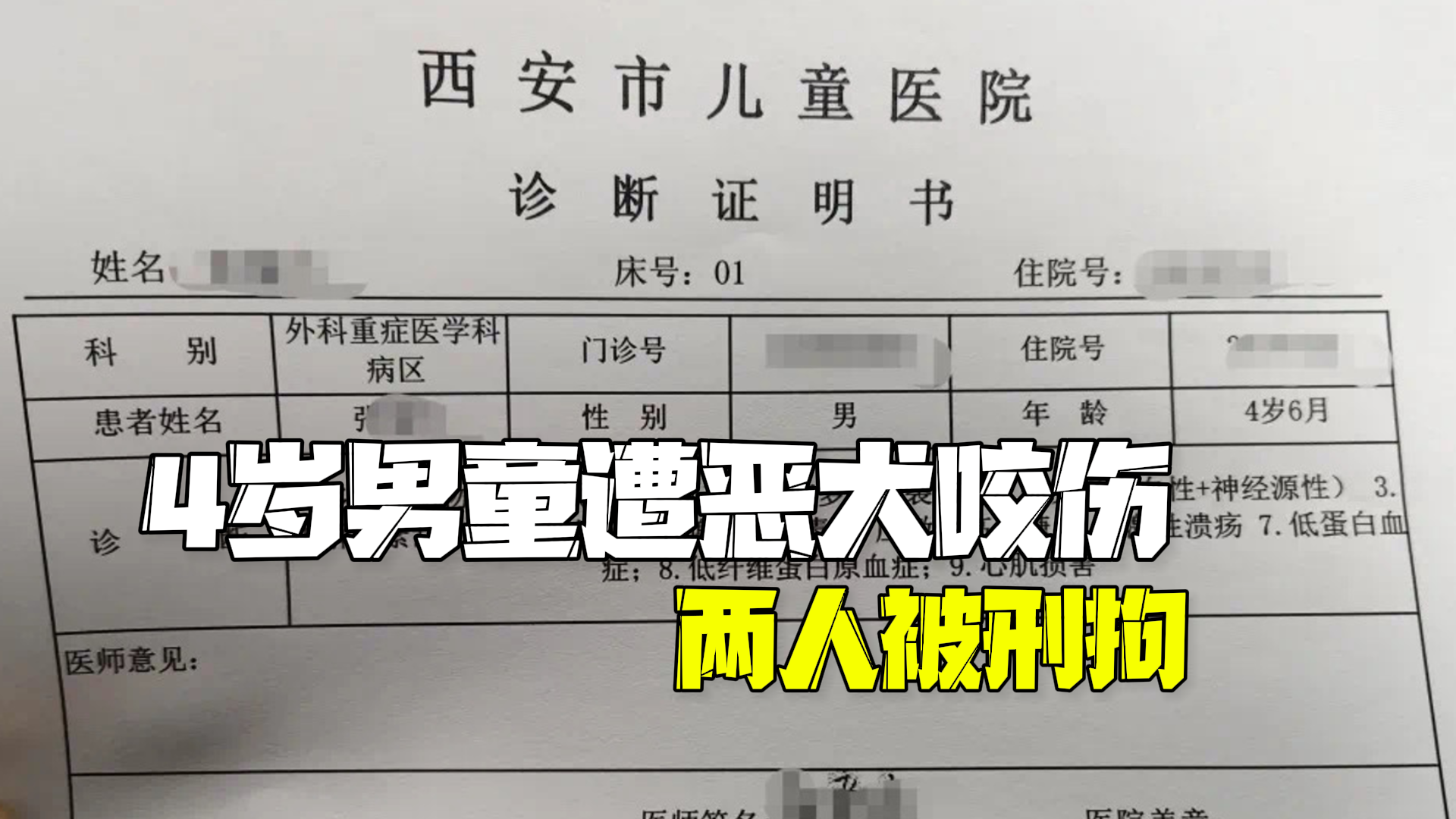 西安警方通报4岁男童遭恶犬咬伤：狗主人事后为逃责杀狗藏匿，两人被刑拘！