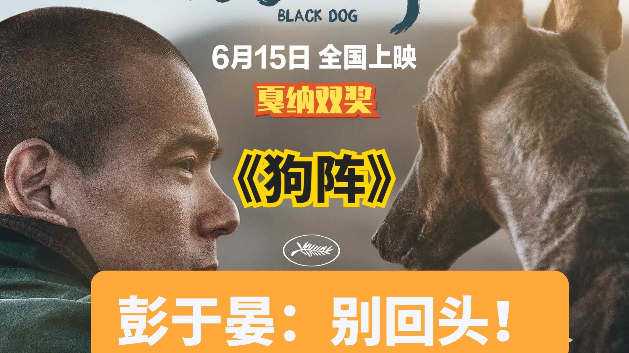 戛纳双奖《狗阵》！彭于晏：别回头！