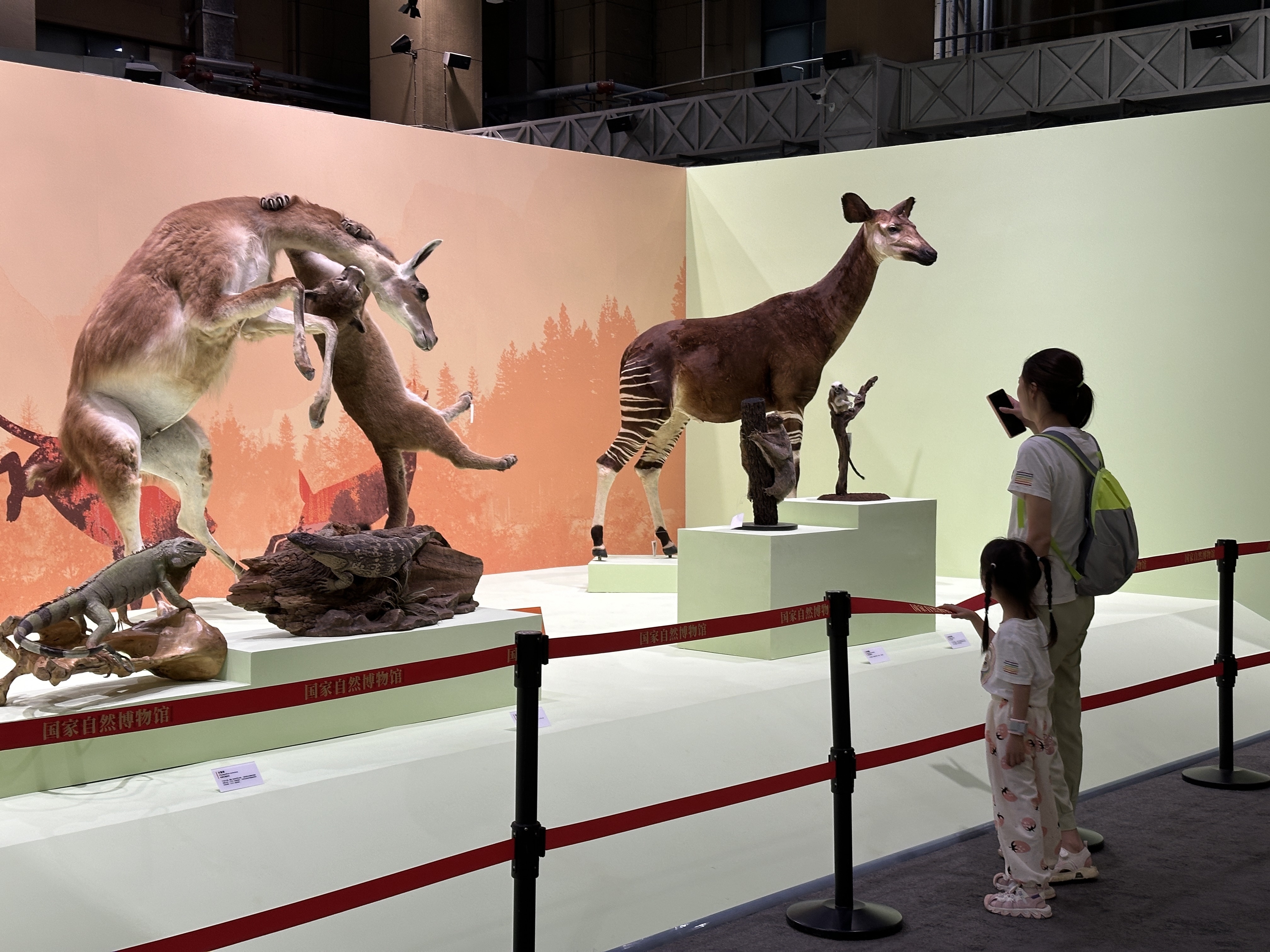 端午假期到国家自然博物馆观馆藏标本 端午假期到国家自然博物馆观馆藏标本