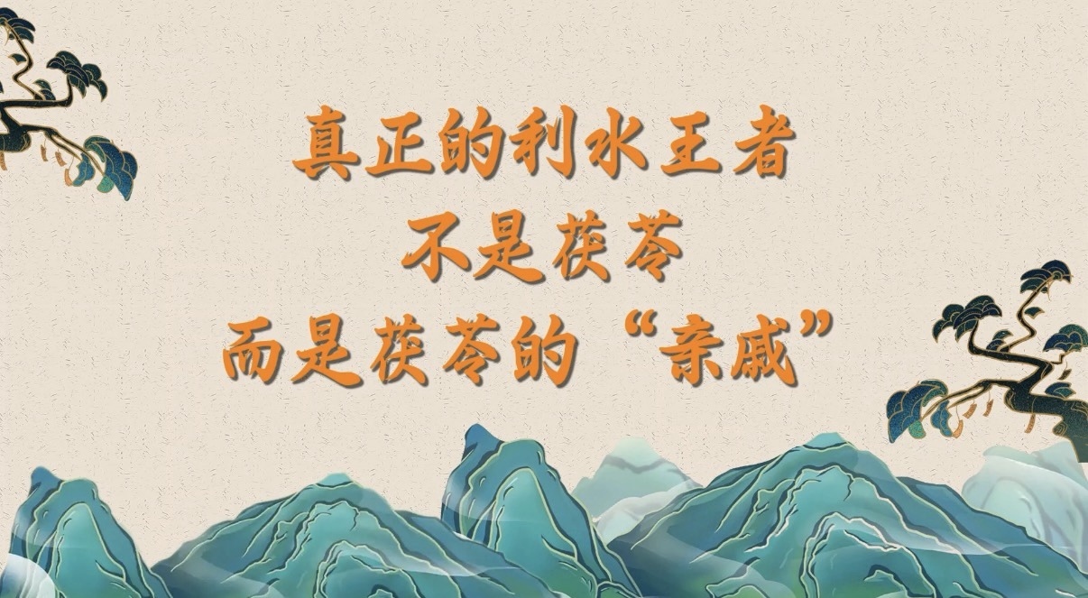 真正的利水王者,不是茯苓而是茯苓的“亲戚”? 真正的利水王者,不是茯苓而是茯苓的“亲戚”?