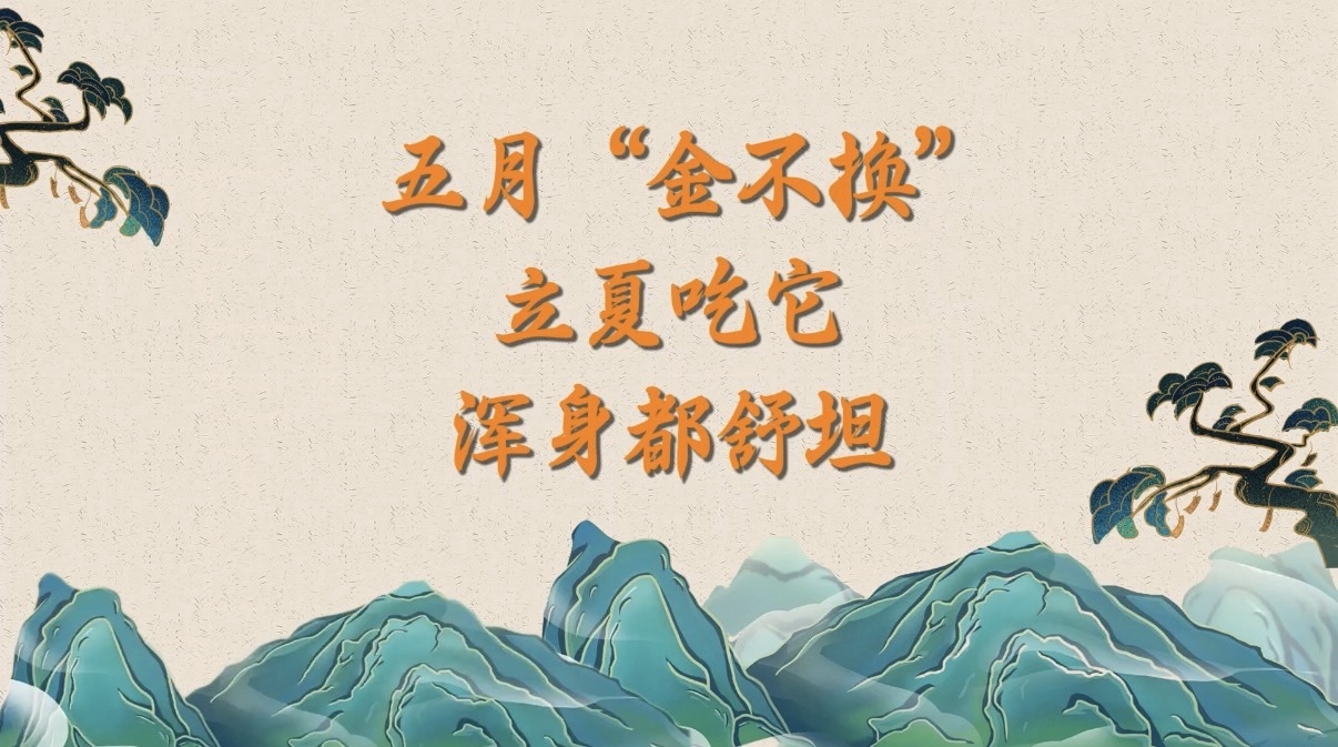 五月“金不换”,立夏吃它,浑身都舒坦! 五月“金不换”,立夏吃它,浑身都舒坦!