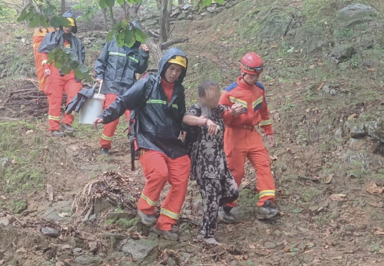 采菇之旅变险境,深山突遭野蜂袭!怀柔消防冒雨救援 采菇之旅变险境,深山突遭野蜂袭!怀柔消防冒雨救援