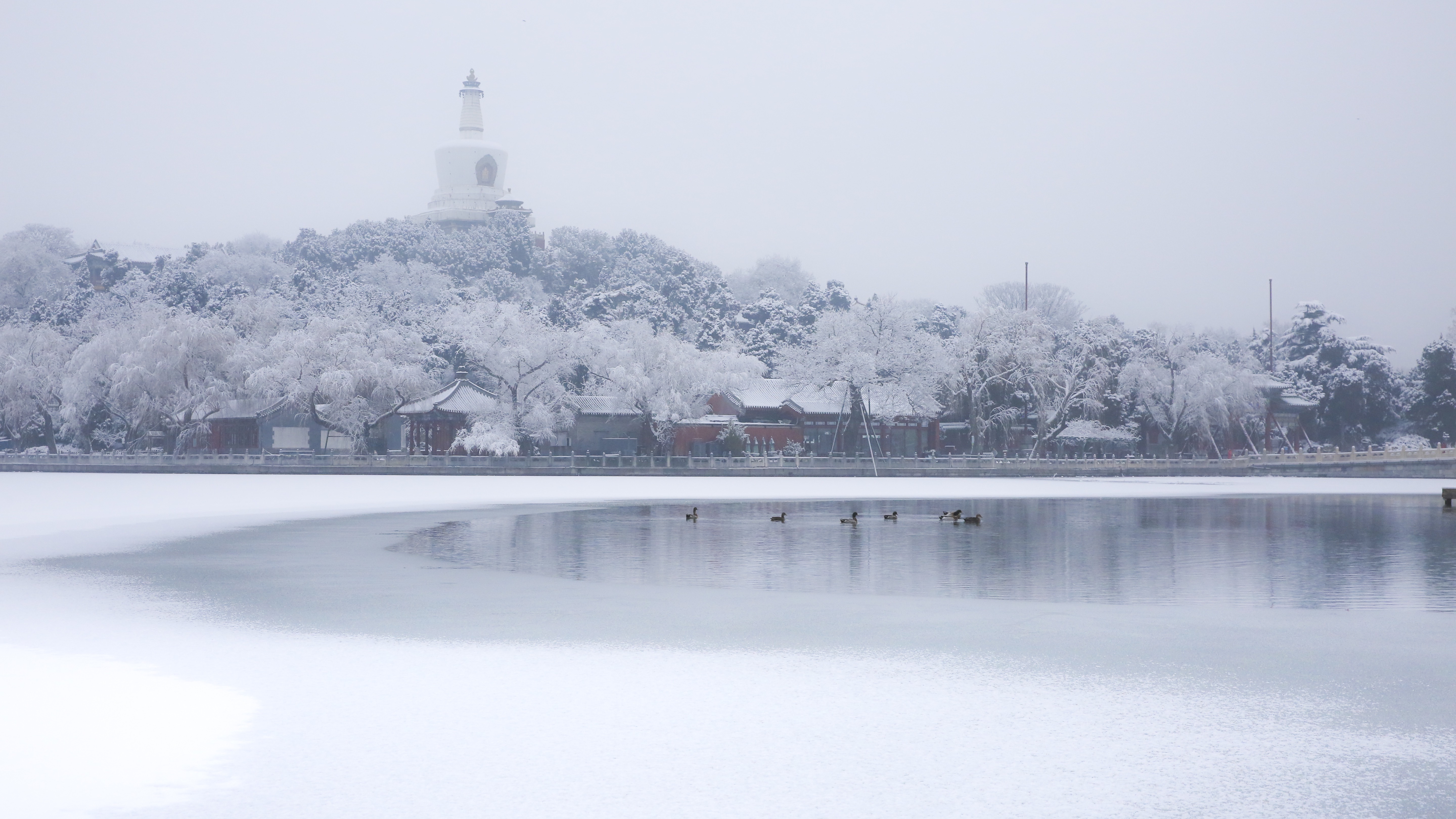 北海公园用一场雪 对话860 北海公园用一场雪 对话860