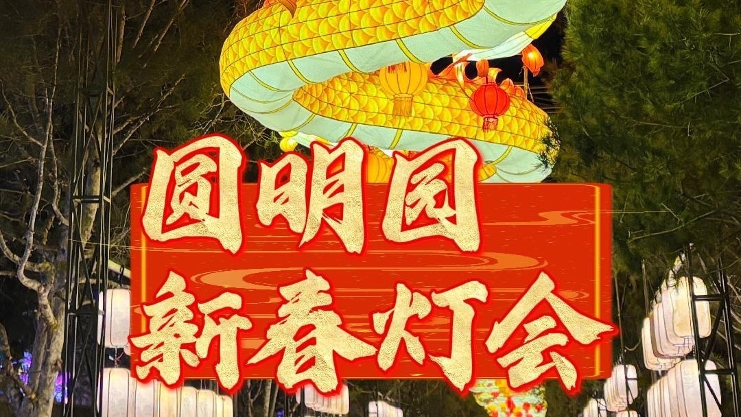 圆明园新春灯会启幕,快来感受皇家灯节盛景—— 圆明园新春灯会启幕,快来感受皇家灯节盛景——