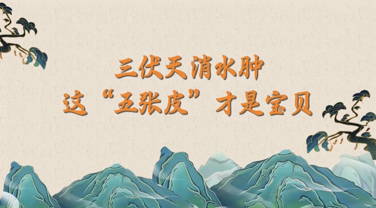 三伏天消水肿，这“五张皮”才是宝贝