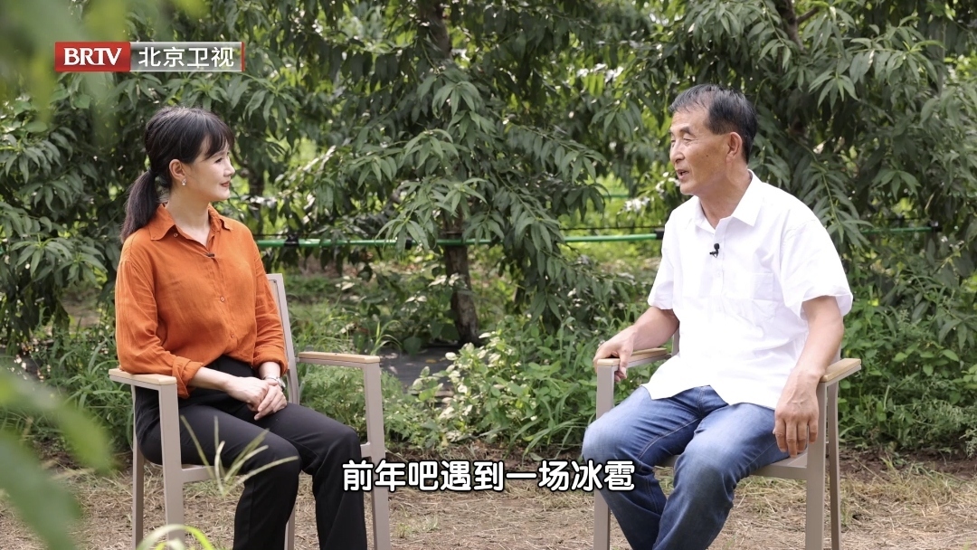 果园因天灾损失惨重该怎么办_北京时间