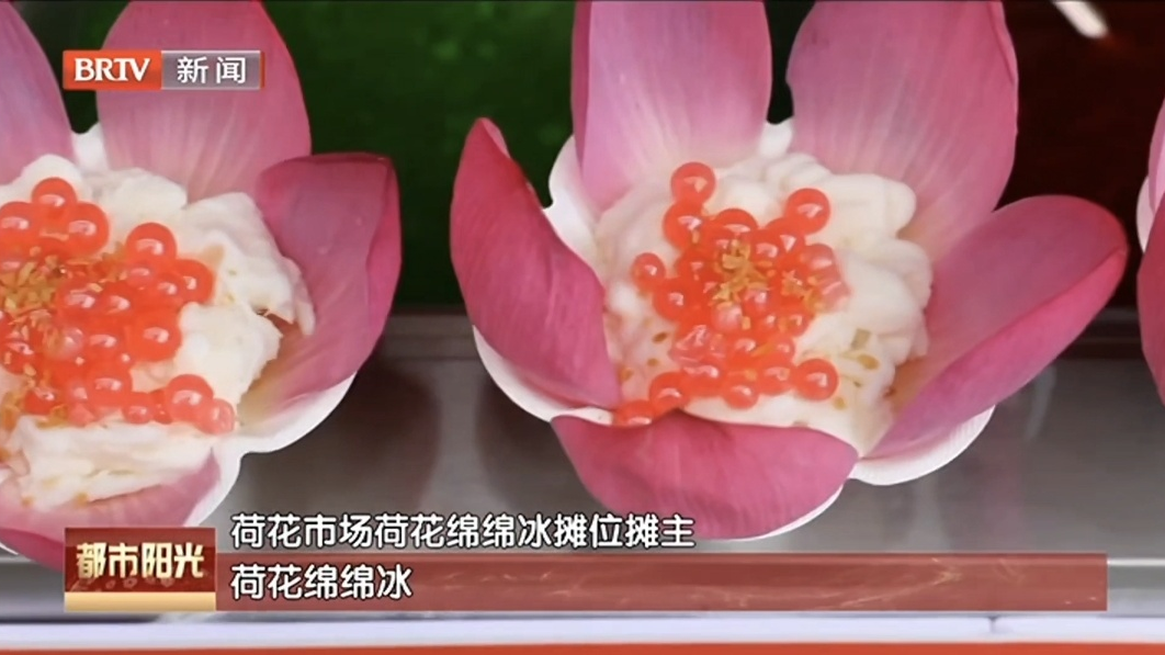 荷花市场品荷花  2026“河之端”系列文化活动暨国际美食展启幕