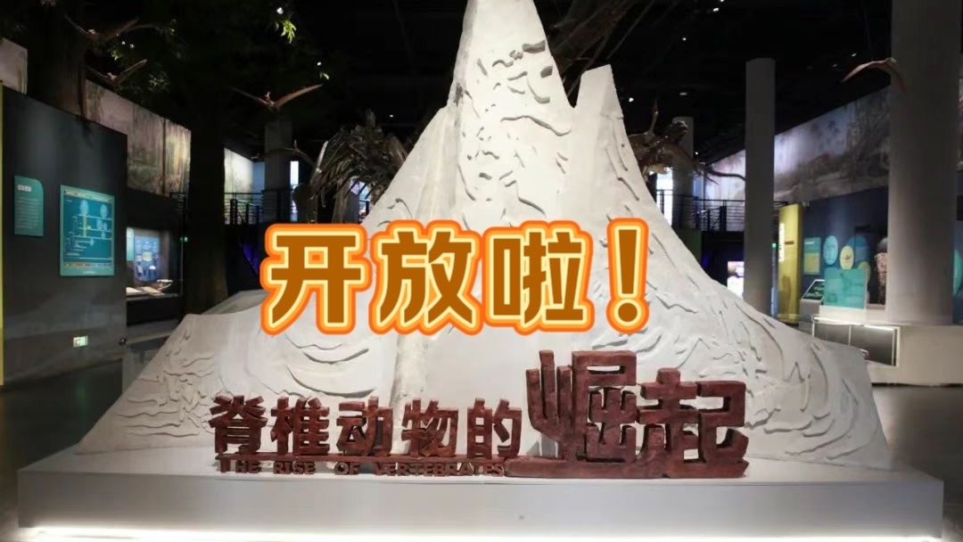 国家自然博物馆2025开年巨献——“脊椎动物的崛起”来袭