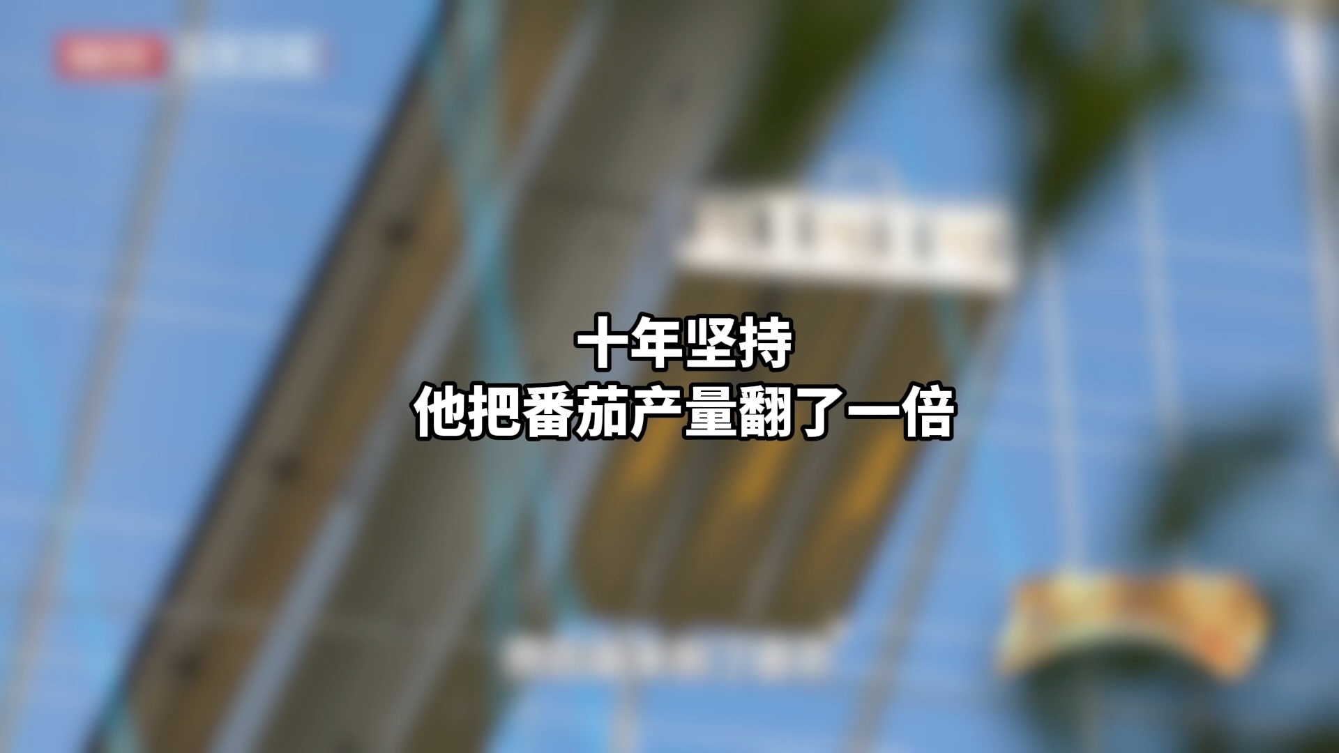 十年坚持，他把番茄产量翻了一倍