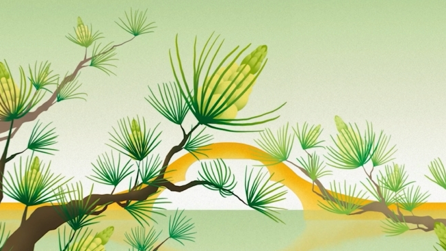 假如颜色会说话——松花黄 假如颜色会说话——松花黄