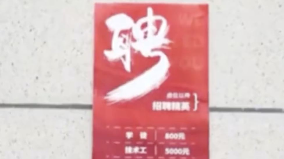 北京家门口的招聘会太香了！