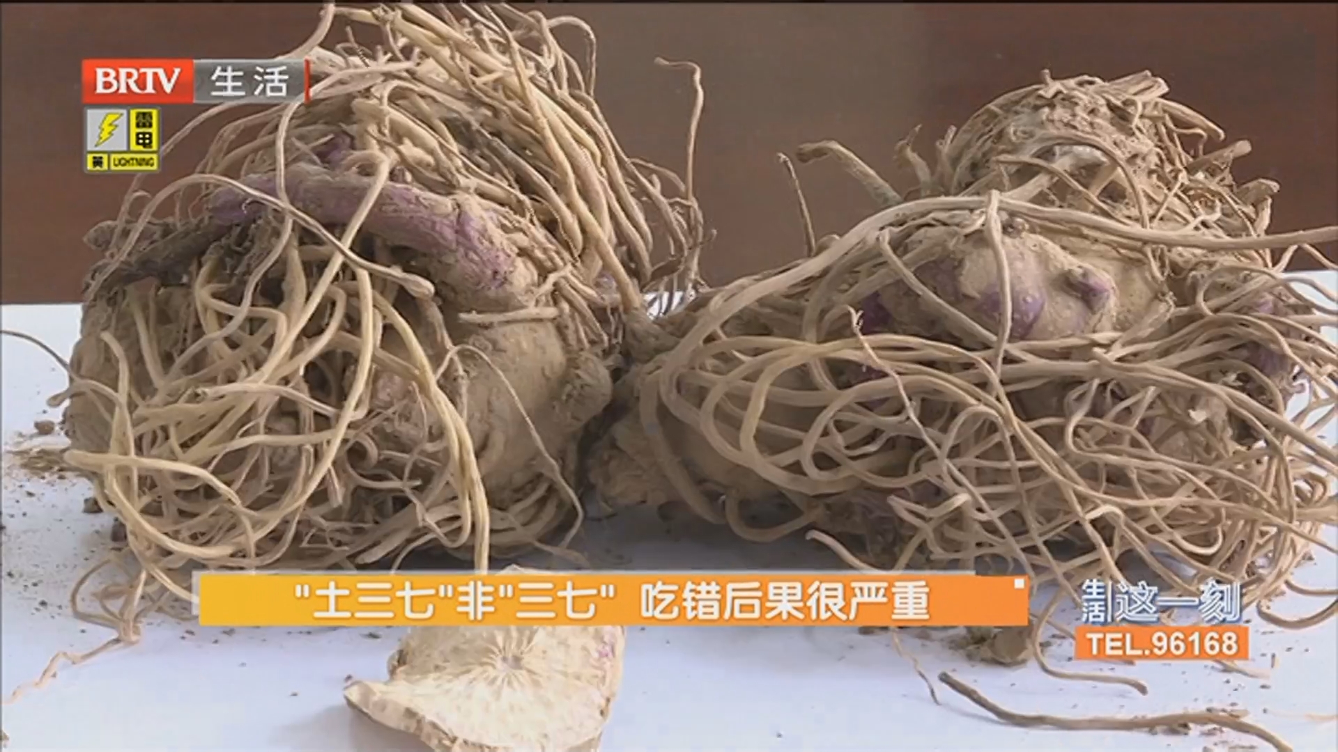 “土三七”非“三七” 吃错后果很严重