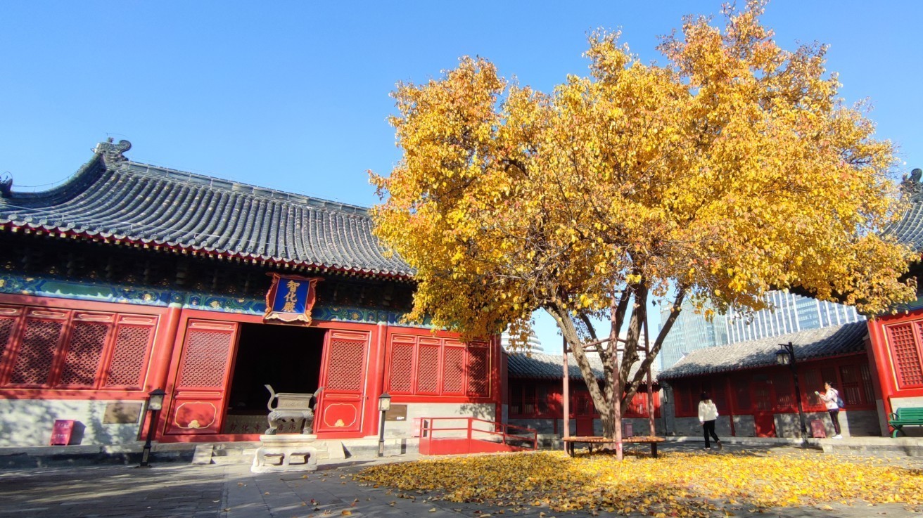 气温回升!最高气温19℃ 阵风6级 注意风寒效应 气温回升!最高气温19℃ 阵风6级 注意风寒效应