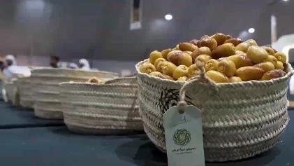 感受阿拉伯传统文化 阿联酋利瓦椰枣节火热进行 感受阿拉伯传统文化 阿联酋利瓦椰枣节火热进行