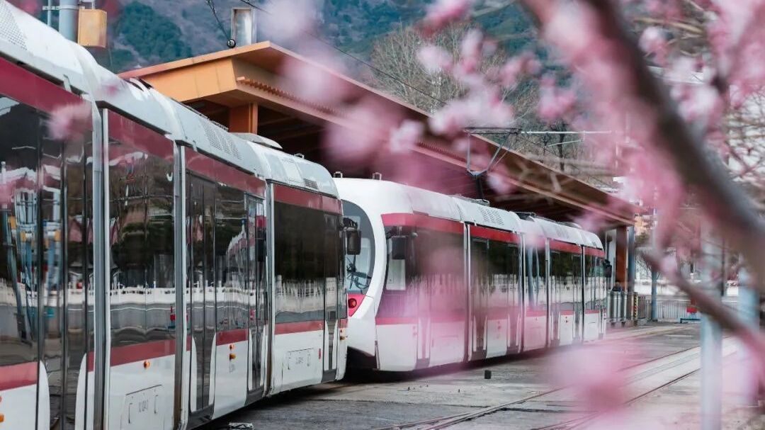 收藏!这个三月乘着“最美西郊线”穿越花海,最佳乘车时间和路线—— 收藏!这个三月乘着“最美西郊线”穿越花海,最佳乘车时间和路线——