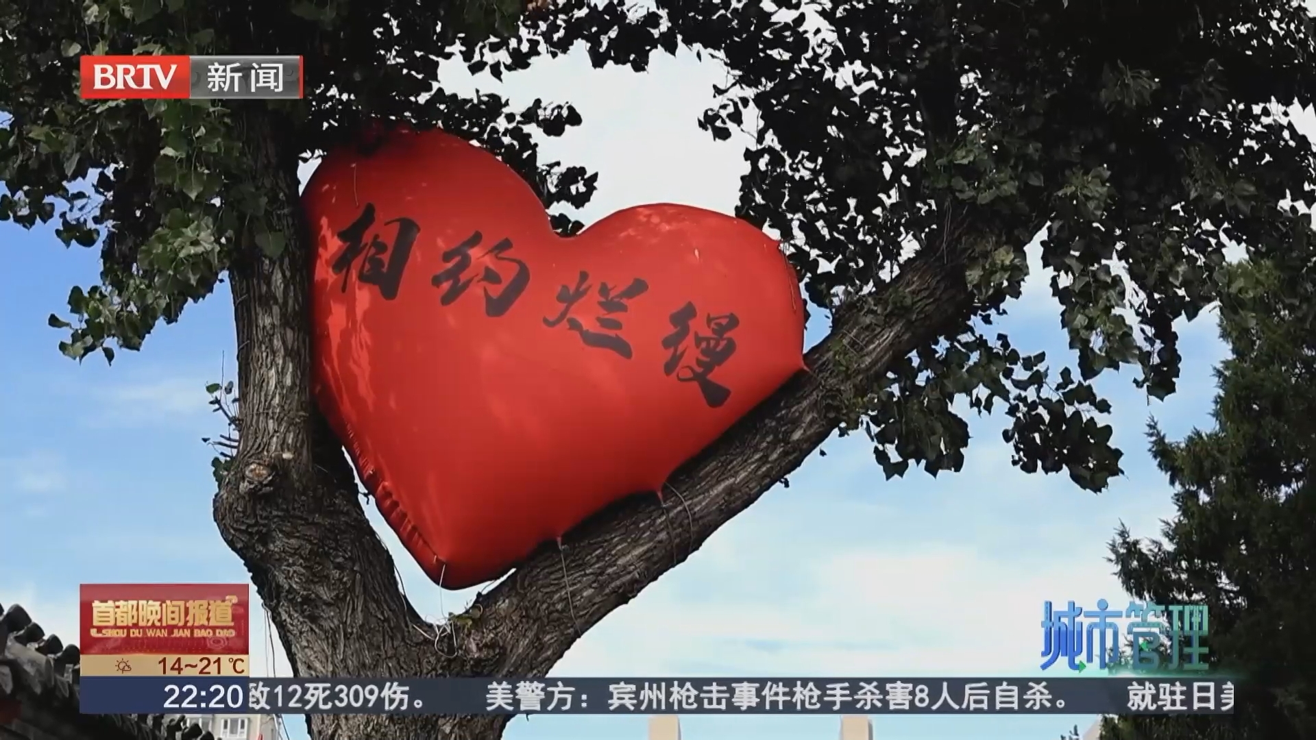 烂缦胡同里的烟火新生