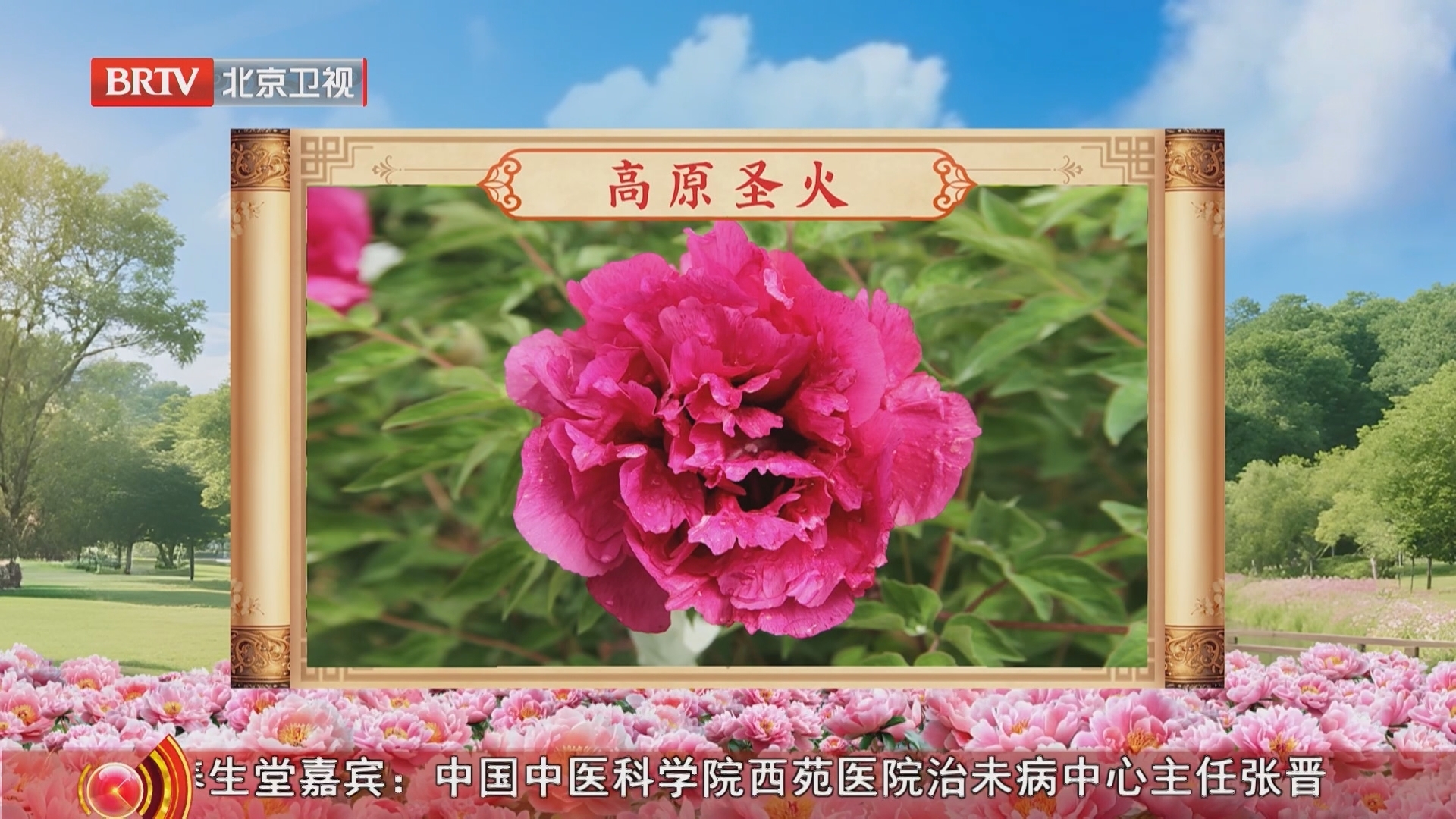《养生堂》20260425满园春色寻丹方