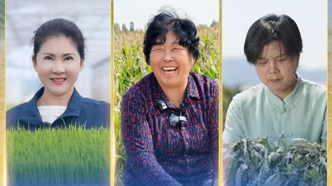 联合国粮农组织表彰“百位巾帼英雄” 殷玉珍等3名中国女性获殊荣