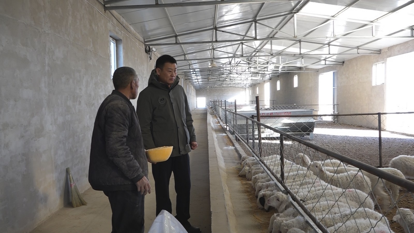 盘活闲置资产赋能智慧养殖  商都县肉羊产业转型升级的“绿色样本”
