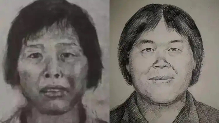 涉嫌拐卖9名儿童的人贩子“梅姨”今落网_北京时间