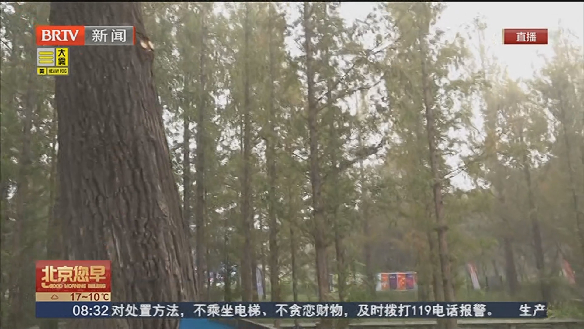 相约国家植物园南园 中国科学院第七届科学节周末两天举办