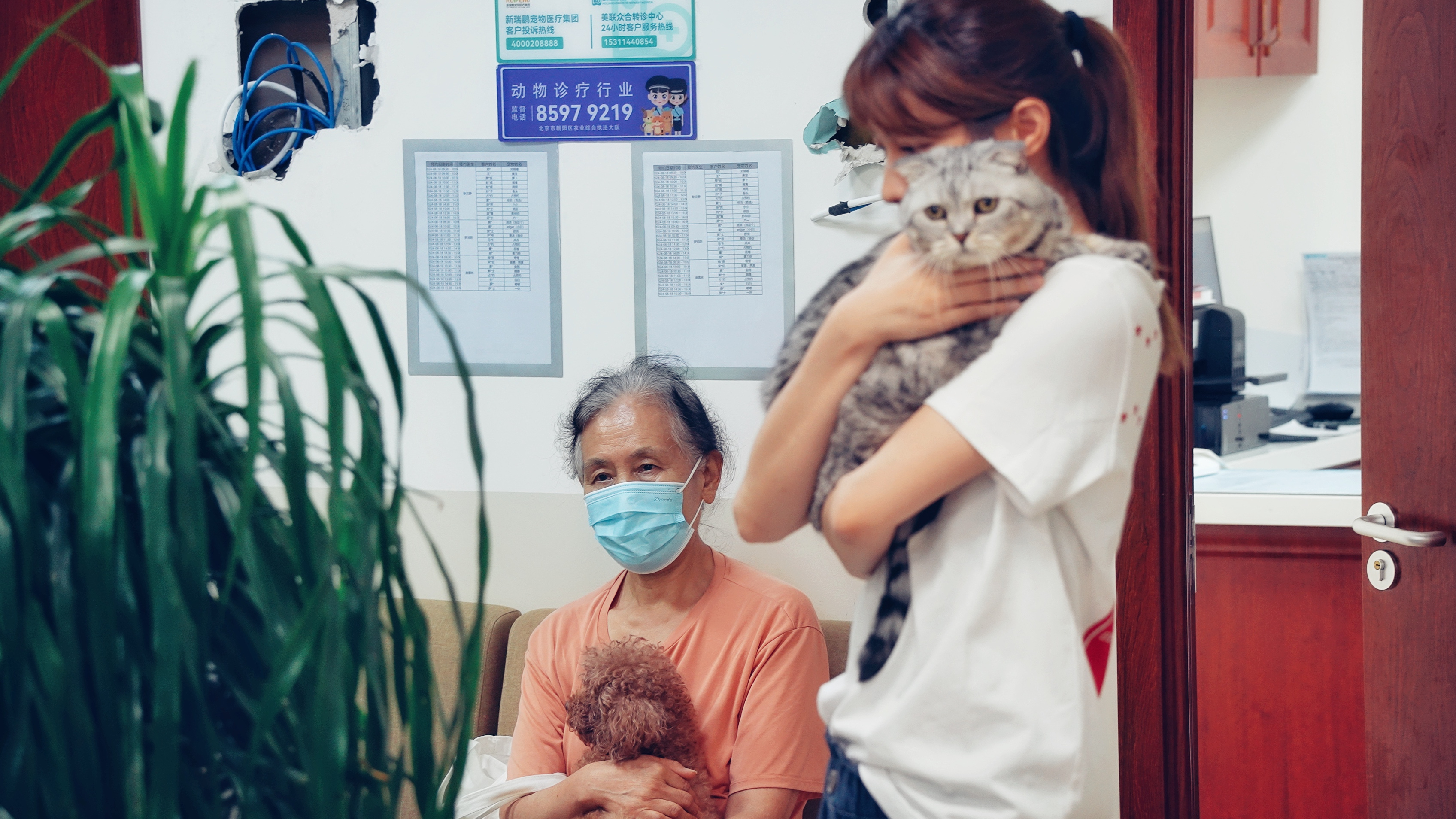 《我的朋友，是医生啊！》执子之爪，缝补人间——毛孩子的魔法（1）