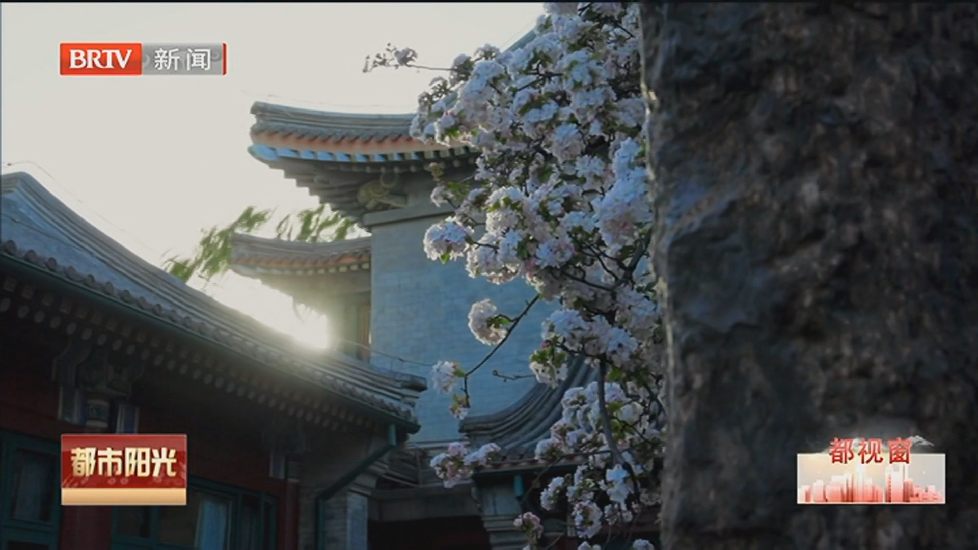 《都市阳光》20260421 《都市阳光》20260421