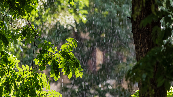 带伞!北京普降中雨,局地大暴雨,午后至夜间仍有短时强降雨 带伞!北京普降中雨,局地大暴雨,午后至夜间仍有短时强降雨