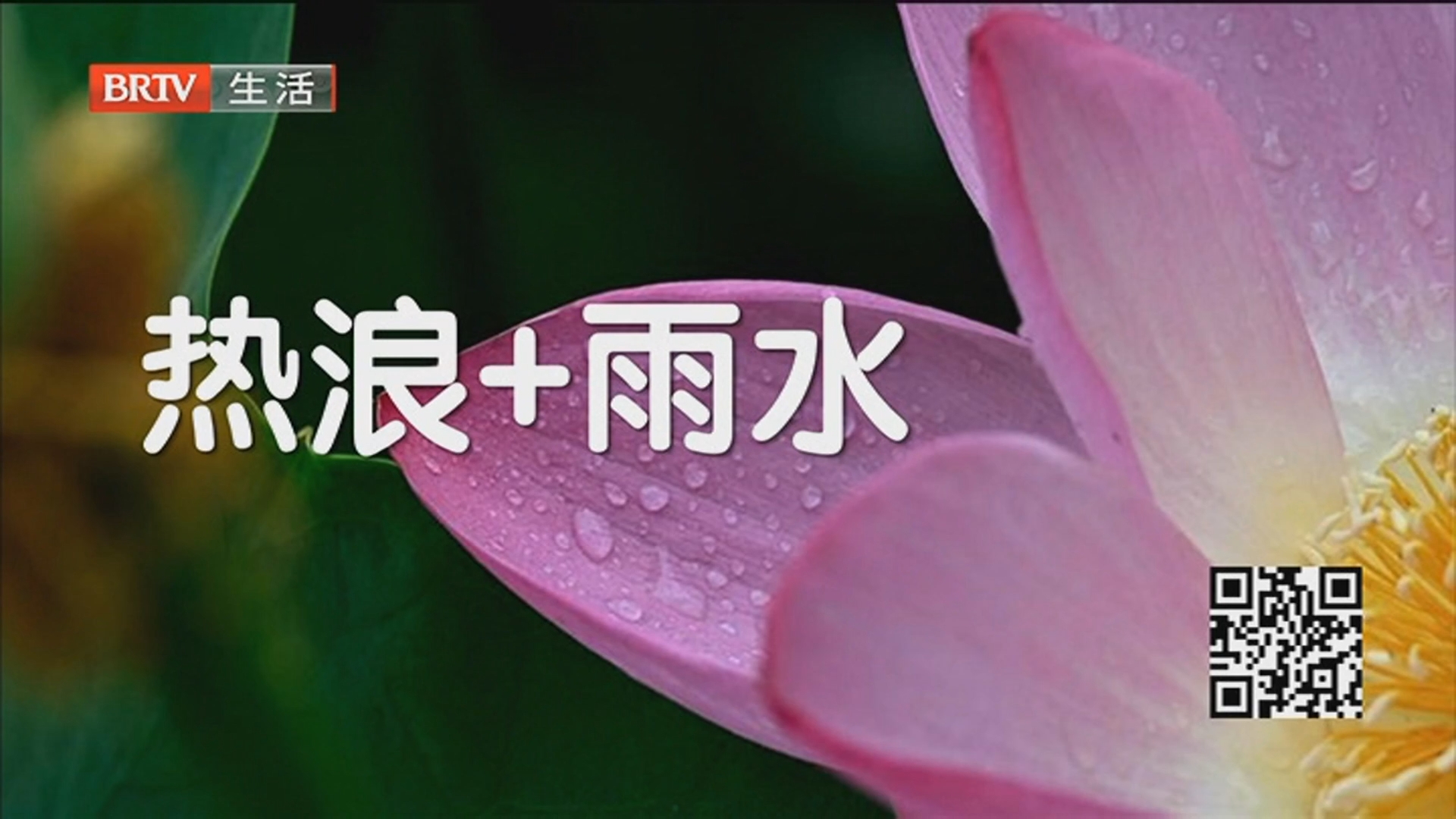 《生活这一刻》20260704 《生活这一刻》20260704