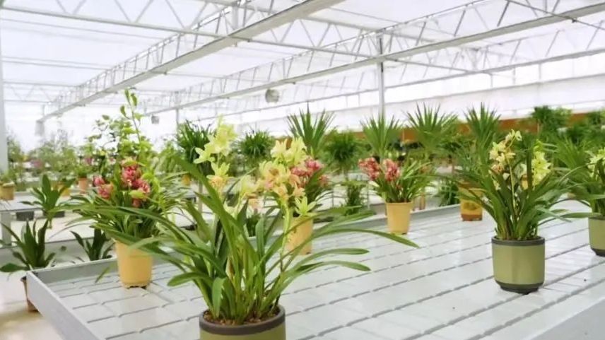 打卡北京昌平草莓博览园，解锁多元春游新体验