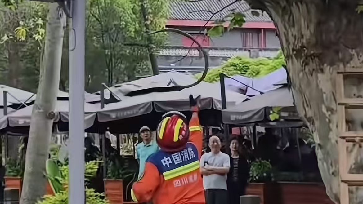 消防员徒手抓蛇惊呆众人