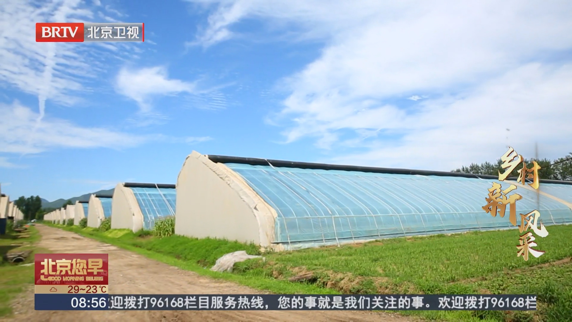 乡村新风采 科技进林·龙湾焕新