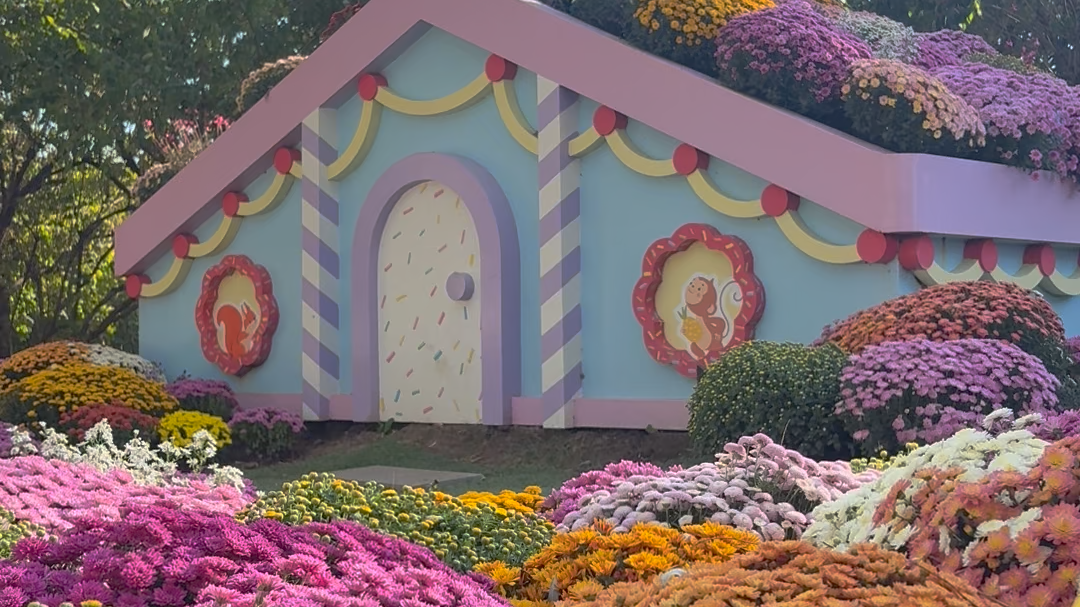 世界花卉大观园梦幻造景 童话世界里的蘑菇屋 世界花卉大观园梦幻造景 童话世界里的蘑菇屋