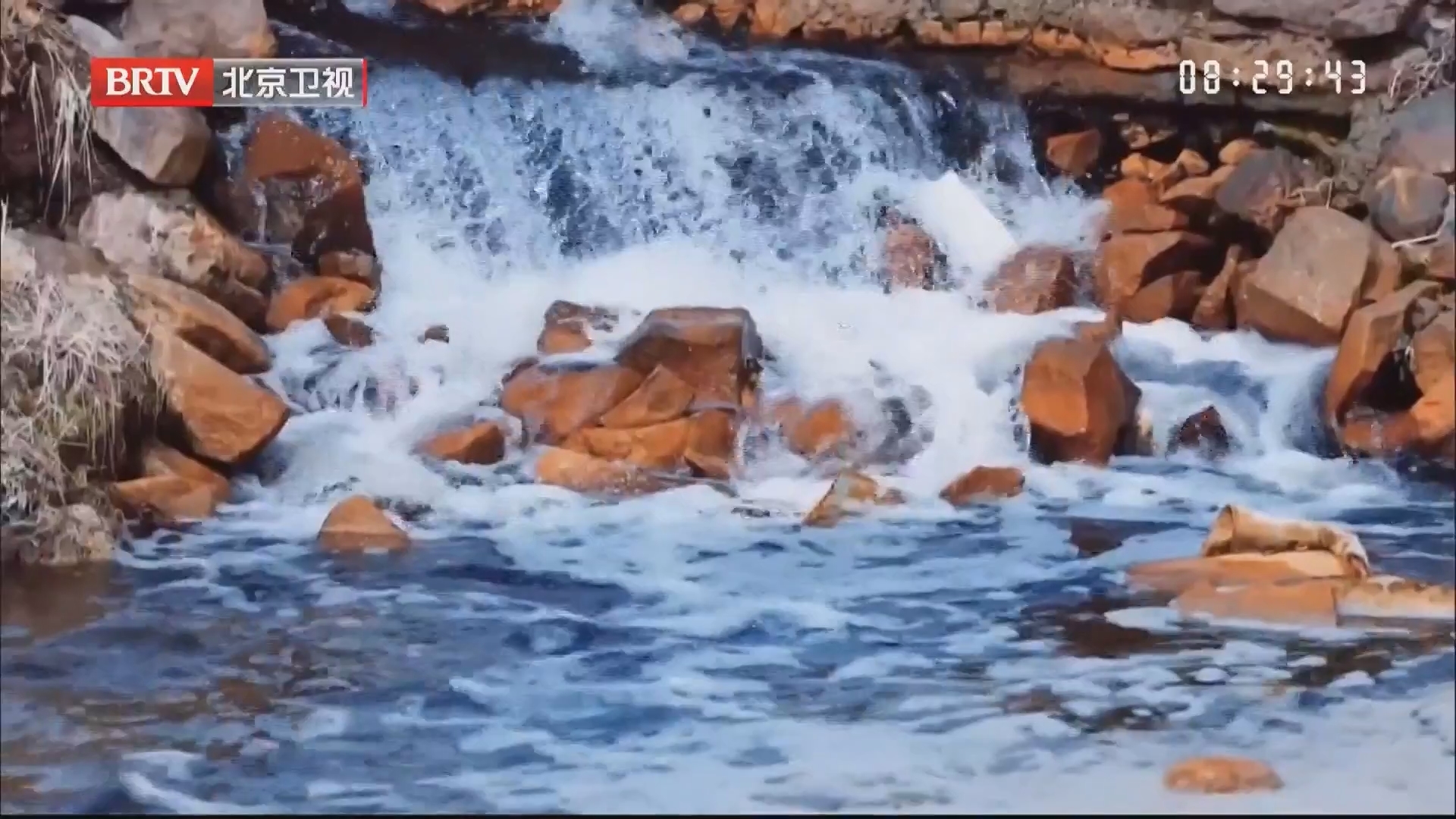 内蒙古乌兰察布：天鹅来赴春日之约