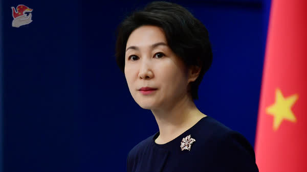 特朗普与普京、泽连斯基分别通话，外交部表态