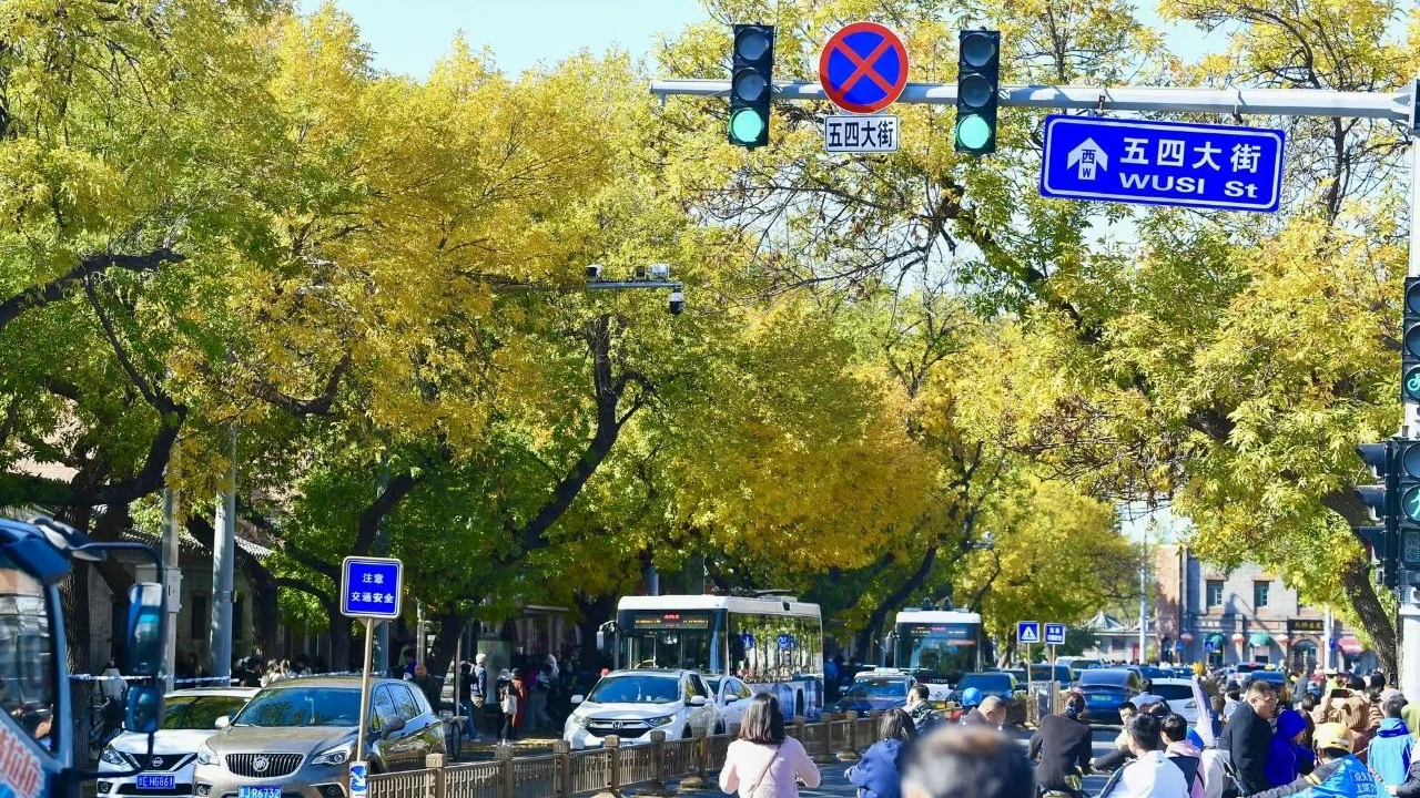 金黄色的北京秋天，你捕捉到了吗？