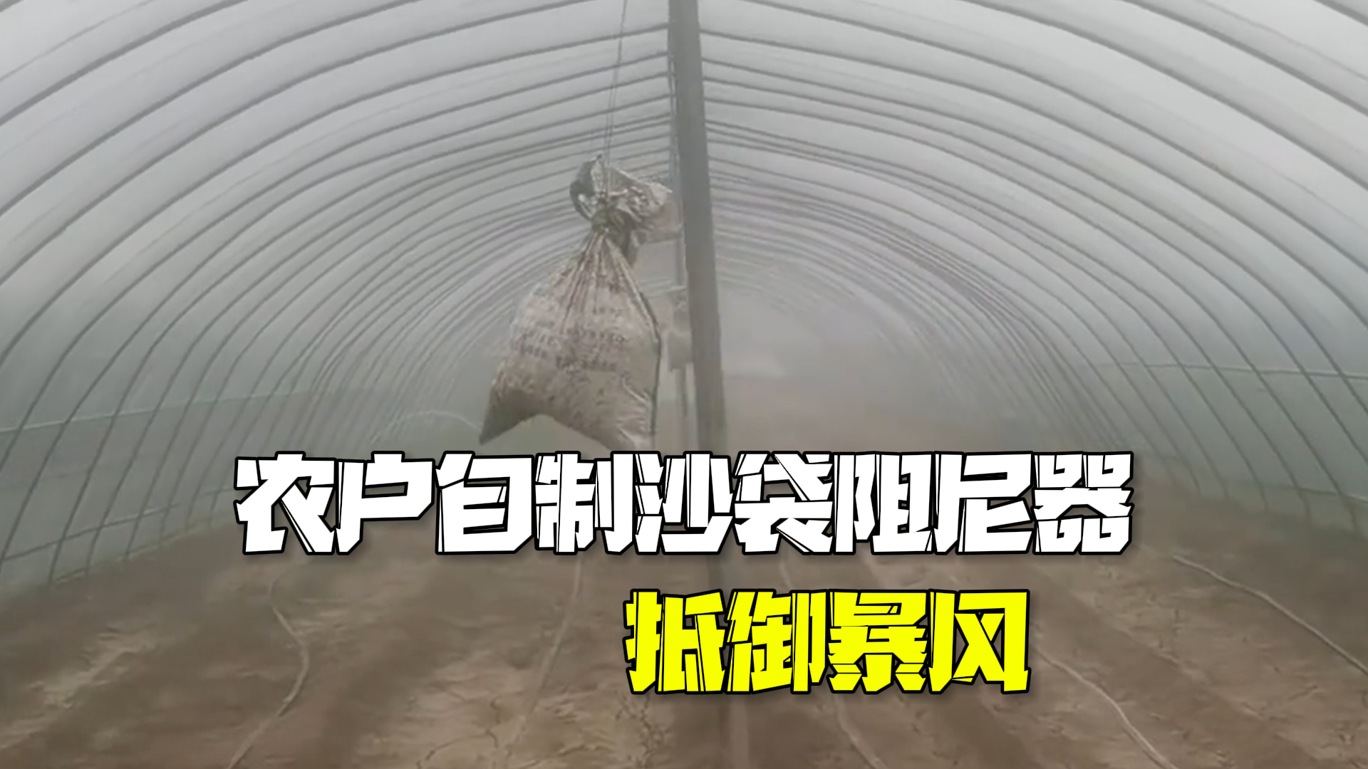 河南农户自制沙袋阻尼器抵御暴风：灵感来源上海中心大厦，大棚保住了