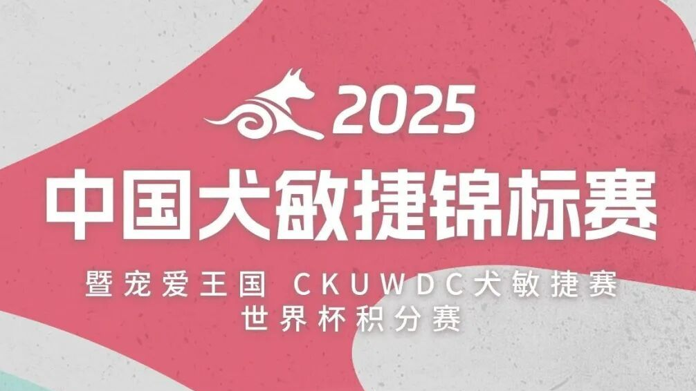 倒计时2天！巅峰对决，一触即发！