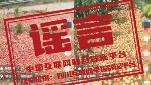 “四川攀枝花桃子三毛钱一斤烂在地里”不实 “四川攀枝花桃子三毛钱一斤烂在地里”不实
